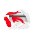 RTECH PLASTICS KIT HONDA CRF 450 X (2008-2017)