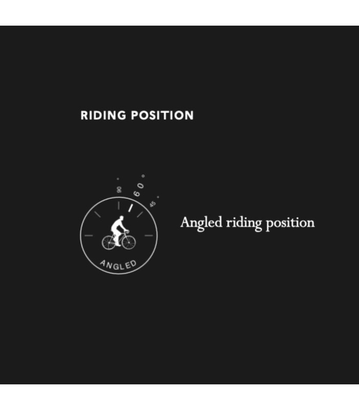 BROOKS CAMBIUM C17 CARVED SADDLE (OCTANE)