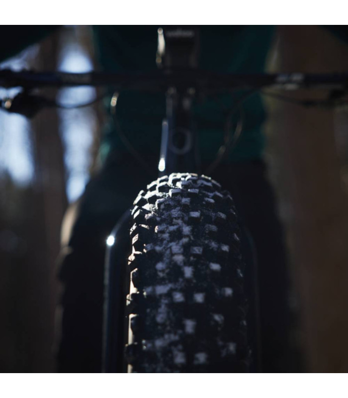 WTB BAILIFF TCS LIGHT HIGH GRIP (27,5" X 4.5)