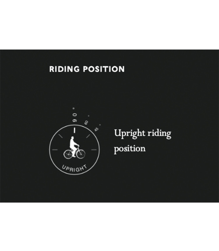 BROOKS B33 SADDLE (BLACK)