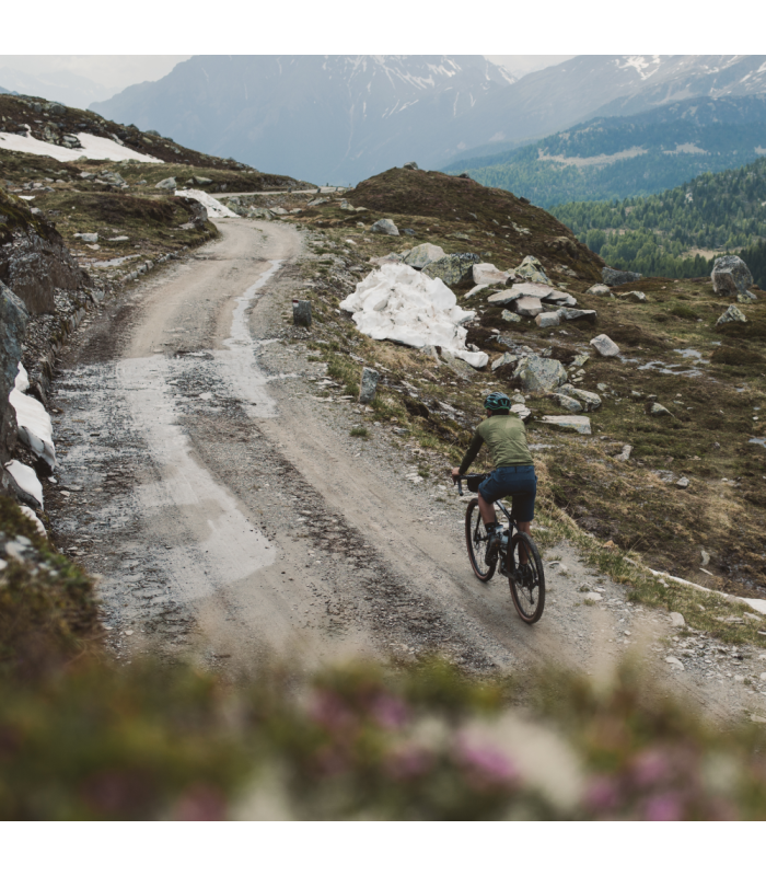 WTB RESOLUTE TCS LIGHT FAST ROLLING DUAL DNA SG2 (700 x 50)