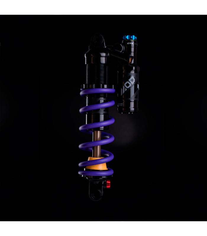 FORMULA MOD TRUNNION SHOCK (185X55 MM)