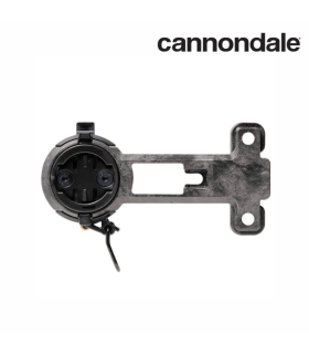 CLOSETHEGAP HIDEMYBELL RACEDAY CAD SUPPORT (CANNONDALE) | TopFun.com