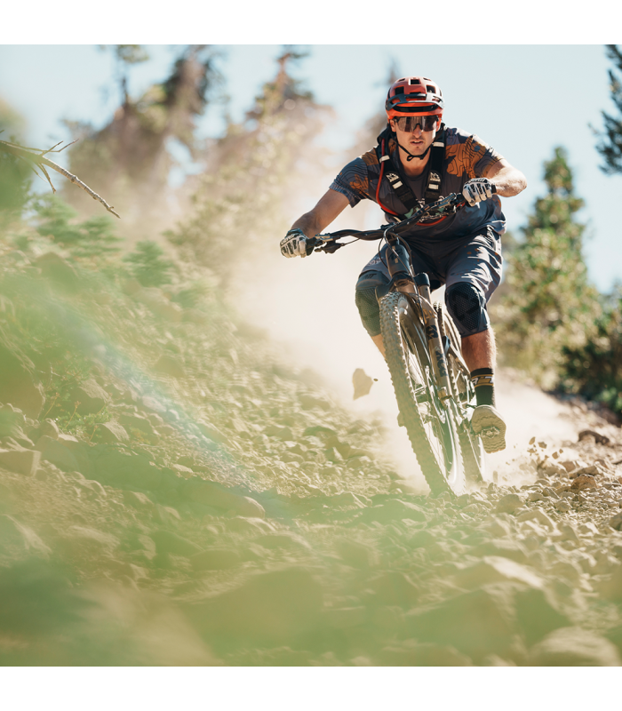 WTB TRAIL BOSS TCS TOUGH FAST ROLLING TRITEC SG1 E50 (27,5" X 2.4)