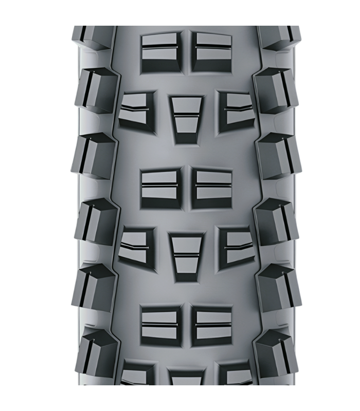 WTB TRAIL BOSS TCS TOUGH FAST ROLLING TRITEC SG1 E50 (27,5" X 2.4)