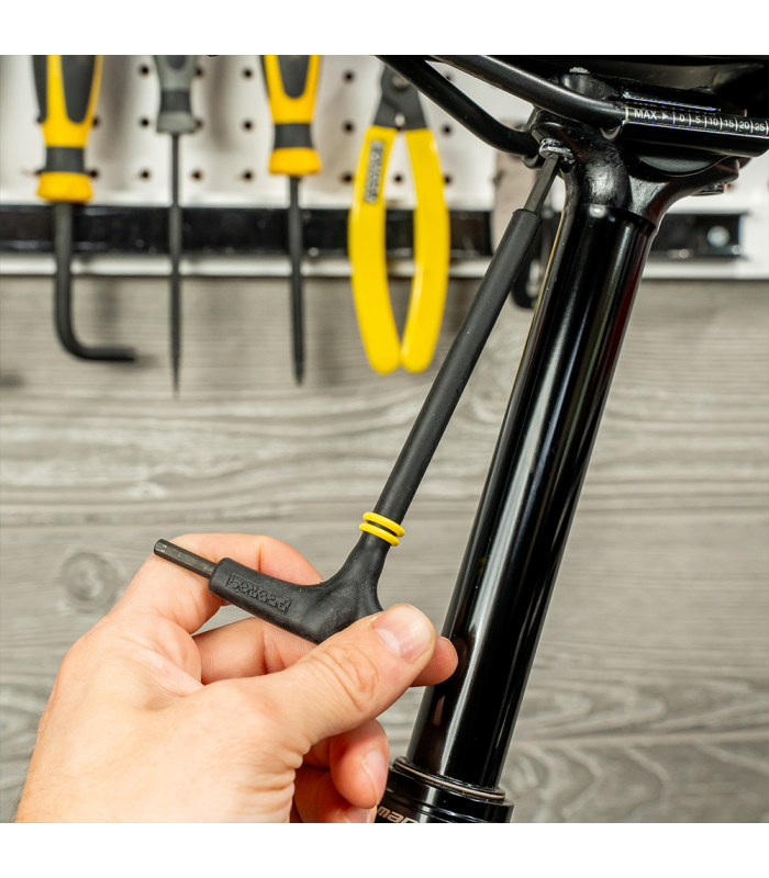 PEDRO'S MASTER T-HANDLE SET (10 PIECES) | TopFun.com