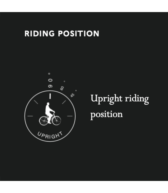 SILLÍN BROOKS B67 (NEGRO)