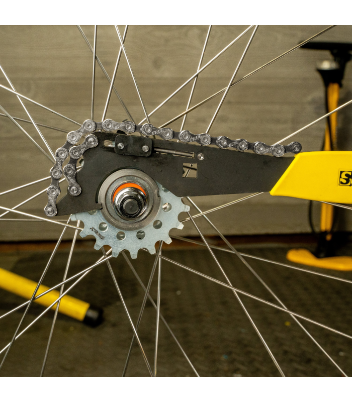 EXTRACTOR DE PIÑONES PEDRO'S