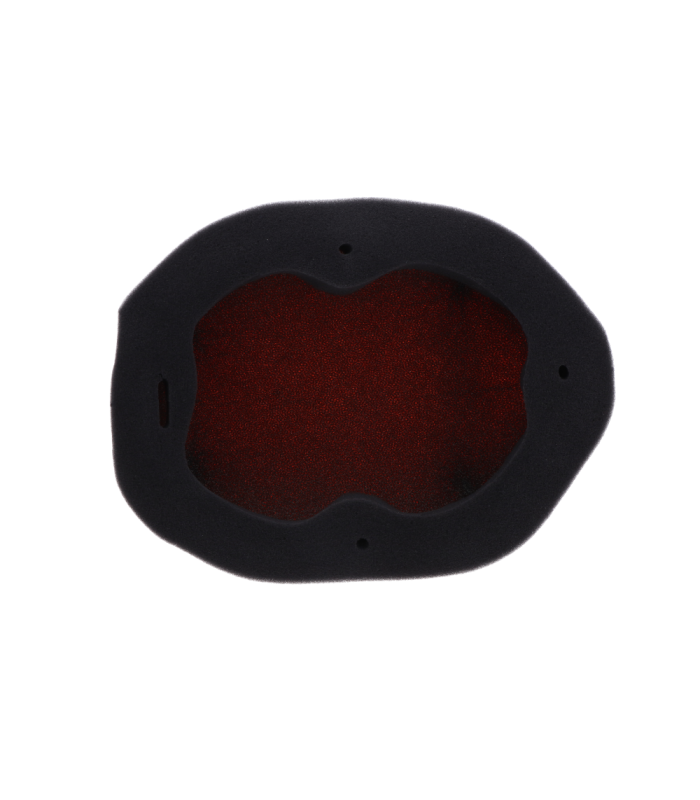 FILTRO AIRE IGNÍFUGO TWIN AIR KAWASAKI KX 450 (2024-2025)