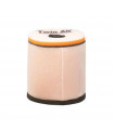FILTRO AIRE TWIN AIR HONDA TRX 450 (2006-2007)