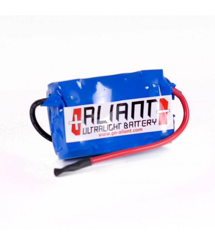 BATERIA LITIO ALIANT X1L 12V 2.3 Ah